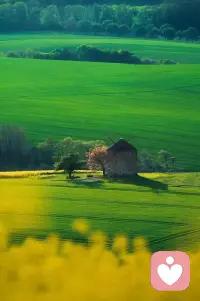 世上所有的幸福都來自于希望別人快樂
所有的痛苦都是來自于只讓自己快樂配圖