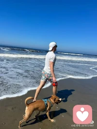 小時候都被忽視感受和想法??我就特別在意對方有沒有足夠理解和接納并關注到我。但是做咨詢過程中，時不時就會感到對方沉浸在自己的想法中，這讓我擔憂沒被看見。我這個高需求有過度自戀成分嗎??配圖