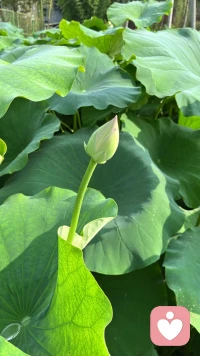 自卑的人其实是把关注点和注意力放在了自己不够好的方面。相对比来说，自信的人就会把关注点和注意力放在自己很擅长的方面，你要明白自卑情绪来源的根源就是一种认知偏差，就是认为自己某一方面不行。配图