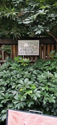 人這一輩子處理的第1段關系是自己和自己的關系：你自己的關系是擰巴的，你投射出去的世界就是擰巴的，你自己的關系里面是自卑的，你投射出去的世界就是討好的，你自己的關系是罪疚的，你投射出去就是不配的感，所以人處理第1段關系就是自己和自己的關系。配圖