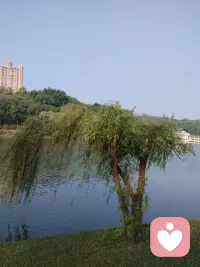 以自我為中心（self-centredness）是把重心放在自己的內在，而不是外在。這是個體化過程中，自我覺察和個人發展的必要條件。

自私（selfishness）的人是與自己的形象建立關系，碰觸不到自我和他人的真實感受，同時把重心從自己內在轉移到別人身上，焦點在于別人能提供什么東西。因為自私的人缺乏重心，無法為自己做任何事情，于是關系陷入物化的控制，只為得到個人的利益。

--《關系花園》