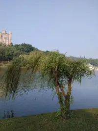 當人們被自己所愛的人傷害的時候，他們還是繼續愛著那個傷害他們的人，卻不再愛他們自己。配圖
