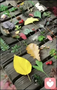 孩子不自信的表現:1.做錯了不讓說；2.畏難情緒嚴重；3.嫉妒心重；4.爭強好勝；5.愛面子；6.看不起別人。
造成孩子不自信的原因:父母過多替代，其實是對孩子的不信任；過多的負面評價讓孩子感到無能；周圍環境呈現的世界是危險的，孩子易變得依賴懦弱；打擊式教育，易讓孩子自我懷疑和自我否定。#父母與孩子配圖