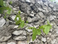 心理學家說:童年的經歷會折射到成年的生活中，所以，童年的災難可能是導致整個人生的災難。如果沒有特殊的境遇，災難就會延續墳墓的邊緣。配圖