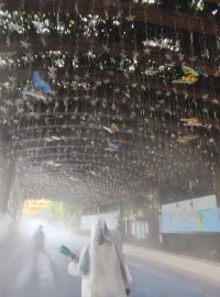 卡洛琳.戴奇:如果一方焦慮而另一方沒有焦慮的話，那兩個人的生活體驗是完全不同的，這些不同的體驗會使兩人中間產生一條日益加深的鴻溝。配圖