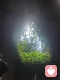 七夕浪漫背后：心理学视角下，我们为何需要情人节与爱意表达:
从古时候乞巧祈福、鹊桥相会，到如今告白、陪伴、送礼、约会的浪漫仪式，七夕能流传千年且至今热度不减，从来不止是文化传承。本质上，它精准击中了人内心深处的情感心理需求，一场节日，完成了安全感、归属感、价值感三重心理补给。
五大心理学机制，解析七夕的美好内核:1.归属需求：满足马斯洛底层心理渴望；2.仪式感效应：让平淡生活拥有记忆锚点；3.互惠原则：双向付出，加固亲密关系；4.吊桥效应+浪漫场景：放大心动感受；5.自我认同：被偏爱，是最高级的心理滋养。