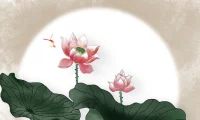 不要害怕失去，你所失去的，本來就不屬于你。
也不要害怕傷害，能傷害你的，都是你的劫數。
繁華三千，看淡了都是浮云。
煩惱無數，想開了就是晴天。配圖