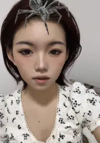 小裙裙配圖