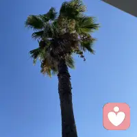 腳踩細沙，風攜浪聲來。配圖