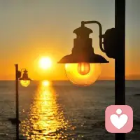 车来车往，人海茫茫，不管你走在哪里，漂向何方，记住总会有一份属于你的爱，会陪着你上路，有爱的日子，不怕黑夜漫长，因为会有一盏灯为你永远点亮 ！配图