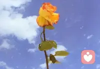 倾诉可以帮助释放内心的压力，减轻焦虑和抑郁的情绪！配图