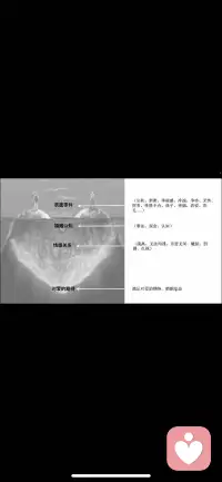 冰山理论：是萨提亚家庭治疗中的重要理论，实际上是一个隐喻，它指一个人的“自我”就像一座冰山一样，我们能看到的只是表面很少的一部分——行为，而更大一部分的内在世界却藏在更深层次，不为人所见，恰如冰山。包括行为、应对方式、感受、观点、期待、渴望、自我七个层次。配图