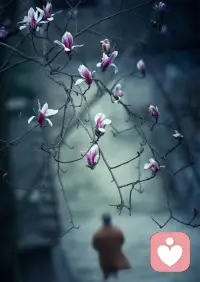 人生是用来体验的，不是用来演绎完美的。慢慢接受自己的不完美，允许自己出错，允许自己偶尔断电，试着安静下来，专注当下该做的事情，而不是让烦恼和焦虑，毁掉本就不多的热情和精力。

人人都是未觉醒的神，你本自具足，相信自己，你完全有能力创造环环相扣的正向循环。当你全然平静和放松的时候，所有的问题都会在生活中消失掉！配图