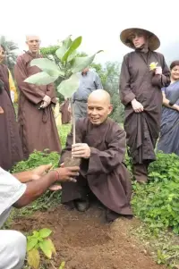 無(wú)明是貪欲、憤怒、傲慢、疑惑、嫉妒和恐懼的根源。當(dāng)我們學(xué)會(huì)把心靜定下來(lái)以看清楚事物的真相，我們便可以對(duì)一切達(dá)到全面的了解，因而將苦惱接受，化為愛心。  一行禪師配圖