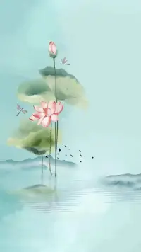 情感篇

過去受感情創傷的人，很大可能在下一段感情中再次體驗這種情感，重蹈覆轍。

那些不斷糾纏于過去的人，往往無法擺脫舊傷痕的困擾，最終在新的人際關系中再次感受到類似的傷痛。

因此，放下執著，釋放心靈，或許才能找到新的啟示，走出情感的困境。

執著往往是造成心靈、身體以及各種關系受傷的根源。如果執著無處不在，那么困難也將無處不在。當我們試圖抓住太多，無法釋懷，就會發現困難無處不在，一步步擴大，直至淹沒我們。或許，我們能輕裝上陣，少了枷鎖，多了自在。

放下并非放棄，而是一種解脫。就像撥開繭絲，讓內心得以自在舒展！配圖