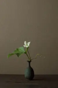 當我們踏入這個世界，

伸手觸摸人、事、物，

仿佛世界的邊界被打破，

一切都融為一體。

抱著一個人，

溫暖的觸感傳遞著情感的共鳴；

擁抱一棵樹，

仿佛與大自然的心跳同頻共振；

撫摸一只貓，

體驗到生命的柔軟和寧靜。

在這無形的交往中，

我們發現，

我們與周圍的一切都息息相關，

沒有什么可以割裂，

也沒有什么是絕對的區別。


當我們培養了能量思維，

世界變得更加明亮。

我們學會了傾聽自己的身體，

當我們靠近某些人或事物時，

如果感到煩躁，

那就是我們的身體在告訴我們，

這不是適合我們的磁場。

我們學會了自動退一步，

尋找更合適的能量場，

讓自己遠離消耗，

接納更多滋養！配圖