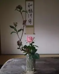 “我應該結(jié)婚嗎？”“我應該生小孩嗎？”“我應該工作嗎？”美國億萬富翁納瓦爾表示，當你難以抉擇時，不要去問別人的意見，因為你心里已經(jīng)有了答案。


這個答案是否定的——

你不想結(jié)婚，不想生小孩，不想工作。


可以理解為：很多人在難以抉擇的時候，喜歡去征求別人的意見，然后再做最終決定。
其實，你已經(jīng)有答案了——
否定的答案。
問別人，是因為你想找到別人跟你一樣的否定答案，尋找一種心理安慰。配圖