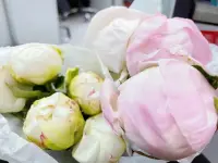 “土壤”就是你的頭腦，“種子”就是你的想法，“水”就是你的行動，“太陽”就是你的感受。

如果你在頭腦里播下任何想法，并感受到它已經是你的，并朝它持續努力，它必然顯化。這是宇宙法則。

一切都是能量，所有的能量都是同頻相吸，你不能發出負面能量卻期望得到正面的結果！配圖