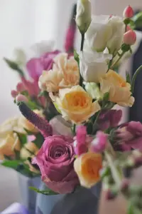 心理學中的南風效應（溫暖待人）

也稱溫暖法則，指人際交往中，溫和的溝通方式可以讓人覺得心理舒適，而“冰冷”的溝通方式則會讓人反感。詳細而言，人際溝通中要注重尊重和關心，講究方法，溫和相處。

案例：你希望朋友幫你做某件事情，如果你使用要求、使喚的口氣可能對方不一定愿意，但如果你好好地和對方說話，夸獎一下對方，對方通常會答應幫助你，與伴侶、陌生人相處也適用！配圖