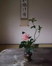 婚姻經(jīng)營篇（重構(gòu)幸福美滿的婚姻）

當(dāng)你在婚姻里總是委屈反感焦慮，無奈，憤怒，麻木累的時候，從來不主動學(xué)習(xí)婚姻的經(jīng)營能力，感覺自己都是受害者，那么你在這段婚姻里面一定走不長久，因為沒有愛的婚姻，就是一潭死水。

只有體驗到有安全感、有幸福感、有滿足感、能溝通、被滋養(yǎng)、雙方都在乎這段關(guān)系，有共同去跨越較大困難，多思維的視角去看待婚姻，這條婚姻道路才可能會走的更舒暢！

老師是心理咨詢師也是專業(yè)的婚姻家庭咨詢師，有非常多的實戰(zhàn)案例，也幫助很多人重建家庭幸福，如果您遇到夫妻感情上的問題都，可以咨詢老師！配圖