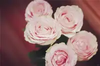 過不好也離不起的婚yun如何面對？

《詩經(jīng)》中有句話：“愛而不見，搔首踟躕。”愛，有時候是一種無法言喻的痛苦。當(dāng)婚姻為了某些因素而無法逃離，這種痛苦就會變成一種持久的折磨，最后傷害了自己！

面對這種困境，我們需要有勇氣去面對，去積極尋找解決問題的方法！配圖