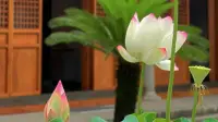 正念冥想

靜，既是一種休息，更是一種修行。

所有的煩惱，都來自于喧囂，所有的傷痛，都來自于躁動。

學會讓自己安靜，把思維沉浸下來，漸漸減少對事物的欲望；學會讓自我常常歸零，把每一天都當作是新的起點。

停一停追逐的腳步，緩一緩緊繃的心弦，讓心寧靜，讓傷口復原，讓靈魂升華！配圖