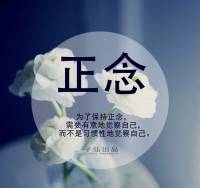 《金刚经》智慧，远离烦恼！

“应无所住，而生其心”是佛教经典中的一句话，出自《金刚经》。它对佛教实践者的修行和认识有非常深刻的指引作用。这句话可以从两个部分来理解：


“应无所住”：意指我们的心应该不依附于任何具体的事物、情感、观念或信仰。在日常生活中，我们的心经常被外界的事物所吸引或困扰，如地位、名誉、情感等。这种“住”或依附会导致我们的痛苦和不自由。佛教鼓励我们放下这种依附，保持心的自由和开放。


“而生其心”：当我们的心不再依附于任何事物时，我们就可以“生起”或觉醒这样一个心——一个明朗、自由、不受限制的心。


从佛学的角度，要做到“应无所住，而生其心”，可以通过以下方法：


冥想与觉照：通过冥想，我们可以观察自己的思想和情感，看到自己心中的依附和执着。通过长时间的观照，我们可以逐渐放下这些依附和执着。


正知正见：理解佛教的教导，特别是关于无常、无我和因果的教导，可以帮助我们看到外界事物的真实性质，从而不再过度依附或执着！配图