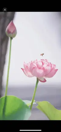 生活上依賴別人，又希望得到別人尊重，那是沒有可能的事！配圖
