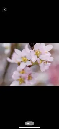 一個好的伴侶和親密關系可以治愈一個人悲情的童年，相反會更加將之推入深淵！配圖