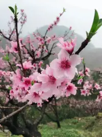 夫妻相處方式

很多夫妻的相處方式以及處理矛盾的態度都較為消極，解決問題的方式就是吵架或冷暴力，用積極主動的良好溝通方式，多包容、多理解才能解決婚姻問題！配圖