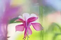 曾經(jīng)年輕的我們都志存高遠(yuǎn)，有著無數(shù)美好的理想和愿望。我們看不起那些張口閉口談錢的人，認(rèn)為他們很庸俗、很無聊。

但是在社會上碰壁以后，我們很快就會從美好的夢中醒來，轉(zhuǎn)而接受無聊而又不如意的現(xiàn)實。用不了多久，我們就會變成自己曾經(jīng)最討厭的樣子。配圖