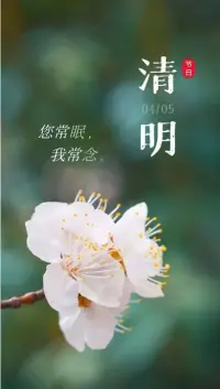 清明節，人們掃的不是墓，而是心底深重的思念；天空下的不是雨，而是故人不舍的淚花。

逝者永安息，生者當銘記，幸福新生活，你我共珍惜！配圖