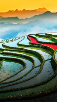 如何建立自信心態呢？

首先，要自我接納，接受自己的優點和缺點，不要對自己過于苛求。

其次，要自我悅納，善待自己，讓自己感到快樂和滿足。

第三，要自我肯定，認可自己的成就和進步，不要總是自我否定。

最后，要自我激勵，設立目標和計劃，勇敢追求自己的夢想！配圖