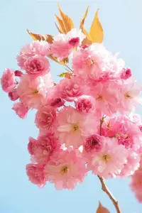 現代社會離婚率這么高原因無非是人們不能好好的談戀愛，慢慢地去結婚！

匆匆忙忙的結婚就是甘冒成為不幸者的風險！

請在婚前來一次體檢吧，也許可以幫你幸福一生！配圖