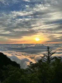 一定要學(xué)會(huì)自我療愈，
因?yàn)楹玫钠饋聿皇且驗(yàn)樯睿?而是因?yàn)槟阕约骸?
不要糾纏于爛人爛事，
不要委曲求全，
不要消耗自己。

當(dāng)你的內(nèi)心足夠堅(jiān)定，
誰都無法影響你。
這個(gè)世界上有太多意外，
有些事根本不值得你情緒失控。

心情不好的時(shí)候，
輕輕對(duì)自己說，
生活就是這樣，
休息一下，
別忘了明天還會(huì)有陽光。

你的路由你自己決定，
你的傷痛由你自己擦去。

人生匆匆，
一定要好好愛自己。配圖