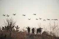 宇宙有一個基本法則——利他主義

愛是一個輪回，你給別人的越多，你得到的也越多。舍就是得，大舍大得，小舍小得，不舍不得。

那些懂得舍的人，才是真正大智慧的人。人在世上轉一遭，赤條條來，赤條條走，沒有一樣東西真正屬于我們。有執著就有私，無執著就無私，以其無私，故能成其私！配圖