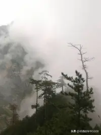 禪修悟語

一個人最好的狀態，是既能享受繁花盛開的美景，也承受一個人獨自的清歡，讓生命在灑脫中淡然于心，讓歲月在隨性安然于行。


人生路漫漫，總有一些路需要你一個人去走，總有一些事需要一個人去面對，敢于突破自己的邊界，方能遇見更好的自己。

世界熙熙攘攘，本就適合獨來獨往，不要在別人的世界的里為難自己，要在自己的生命中綻放光芒！配圖
