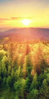 人生小建議：

如果你抑郁，
說明你活在過去；

如果你是焦慮的，
說明你活在未知未來里；

如果你平靜而無爭，
才說明你活在當下現實中。 ?

總結成一句話：
請你用最大的平靜，
去熱愛這不確定的生活！配圖