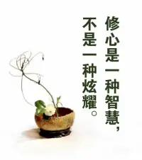禪悟

人生中難免遭遇痛苦，生起煩惱，但不必為此自我折磨。

如果一直盯住白墻上的幾個墨點不放，黑暗就會占據(jù)你的視野；

如果總是執(zhí)著于生命的某些片段，就會讓你失去完整的人生。

放過自己，不折磨自己，也是一種放生！配圖