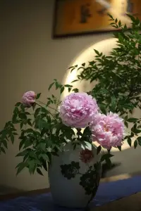 心理學歸因理論

心理學家韋納曾提出一個“歸因理論”。他認為，我們對成功和失敗的歸因，會對以后的行為產生重大影響。

遇到問題時，先別急著抱怨，冷靜些，把下意識地“受害者模式”調整為“責任者模式”心態。

這樣，你的頭腦才能清醒反省，做出正確的決策，從而改變缺點，解決問題，實現持續精進，高效成長！

卡羅爾·德韋克在《終身成長》里，提出兩種思維：固定型思維和成長型思維。

面對問題，當用固定思維解決不了時，與其抱怨，不如改變思維，另尋他路。

當轉化成“成長型思維”，擁有更新自我的能力，才能避免再犯同樣的錯誤。

遇事不順時，與其抱怨浪費時間，不如反躬自省，提升認知水平，從根本上解決問題。愿我們都能遇事少抱怨，多躬身自省，讓自己在人生路上少走彎路、少摔跟頭，越走越順，成就自己。配圖