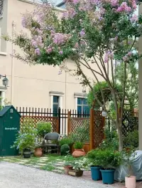 老師因工作原因，所以找我情感咨詢的，請在晚上六點至十一點！謝謝！??配圖