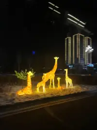 你接納什么，什么就消失。

你反對什么，什么就存在。

如果你不明白你的敵人是你自己，

你會把所有時間精力

用在改變別人身上，

最后一無所獲！配圖