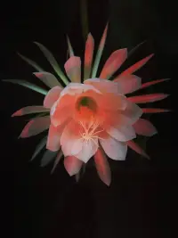 一位寶媽說，剛把娃哄睡著，又陷入了深深地自責。因為沒控制住，又對他大發脾氣了，看著他又委屈又無助的樣子，我又心疼又懊惱，一方面知道他是個小孩子不能和他計較，他也沒有錯，只是愛玩而已，一方面還是控制不住自己的情緒，我實在沒有精力再和他耗下去了！

天下父母心，告訴天下的媽媽們，先照顧好自己的身體、心情！你最重要！配圖