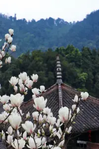 扎心語錄

不要常把傷口拿給別人看（親人或朋友）

這個世界上，不是所有親人或朋友都是醫(yī)生，

大多數(shù)都是來撒鹽的！配圖