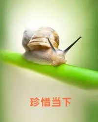 曾經(jīng)看到過(guò)一句話：“如果你發(fā)現(xiàn)跟一
個(gè)人聊天很舒服，也覺(jué)得你倆三觀很合，不
用懷疑，他的情商和知識(shí)含量，一定遠(yuǎn)遠(yuǎn)超
過(guò)你！

每個(gè)人的身邊都有這種人，只要他愿意，他
可以跟每個(gè)你這種級(jí)別的人，都達(dá)到這種心
有靈犀的程度。

和一個(gè)人聊天很舒服的感覺(jué)，可遇不可求，
這種感覺(jué)很奇妙也很美妙，不用費(fèi)勁去想話
題，便會(huì)妙語(yǔ)連珠。不用刻意去尋找聊天的
舒服感，舒服感就會(huì)來(lái)到！配圖