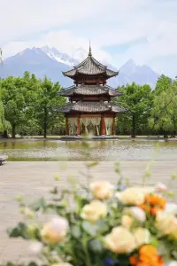 情緒管理咨詢

情緒是每個人都會有的，無論男女。

但是，相比于男性，女性可能更容易受到情緒的影響。

這主要是因為女性在生理和心理上與男性存在差異。例如，女性在生理期和懷孕期間更容易情緒波動。

在心理上，女性往往比男性更加敏感，更注重感情和人際關系。

因此，在感情中，女性更容易受到情緒的影響，尤其是被憤怒所支配帶來的一系列蝴蝶效應的壞影響！

女性還可以通過學習心理學知識來應對情緒。心理學研究表明，人的情緒是可以被調控的。通過學習心理學知識，女性可以了解到如何調控自己的情緒，從而避免成為情緒的奴隸。例如，當面對憤怒時，女性可以嘗試心理暗示、換位思考等方法來調控自己的情緒，從而避免讓事情的發展變得不可控。

憤怒確實是女性的最大天敵，特別是在感情中。為了避免成為情緒的奴隸，女性應該學會控制情緒、提高情商、學習心理學知識。只有這樣，她們才能在感情的世界中游刃有余，讓生活更加美好。配圖