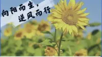 個人成長咨詢

陽光的?背后?，注定了?是黑暗的?一面?，而我們?能做的?就是?擺脫黑暗?的籠罩?，積攢?所有的力量?，停止內耗，朝著心的?方向?，朝著?夢開始?的地方?，一路?向陽??！配圖