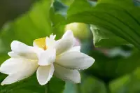 婚姻咨詢

幸福婚姻的前提是先真正了解自己，一個不幸福不快樂的婚姻或感情，背后必然是藏著錯誤的價值選擇和自我投射的影子！配圖