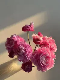 冷暴力殺傷力太強(qiáng)

冷暴力是用最平靜的方式，讓對(duì)方感受到那種不被重視，直接被忽略，無(wú)論說什么做什么，都得不到回應(yīng)，漸漸地讓對(duì)方心灰意冷，從而絕望，慢慢感情變得冷淡。

不得不說，冷暴力殺人于無(wú)形。

感情中，最怕的就是冷暴力，他會(huì)讓我們身心都感覺到自我懷疑。雖然婚后夫妻之間的溝通會(huì)逐日趨少是客觀規(guī)律，取而代之的是鍋碗瓢盆，但只要兩個(gè)人腦海里都有溝通的意識(shí)，積極主動(dòng)地溝通，打破冷暴力營(yíng)造幸福美滿的婚姻生活一點(diǎn)也不成問題。配圖
