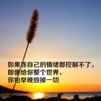 情緒管理咨詢


一個(gè)人管理情緒的技能會(huì)影響到他的生活質(zhì)量。

能力差的人常常會(huì)被痛苦的情緒困擾，導(dǎo)致生活充滿挫折和煩惱，而調(diào)節(jié)能力強(qiáng)的人會(huì)很快走出情緒的困擾，恢復(fù)正常的生活。

同樣的挫折，有的人會(huì)坦然接受，僅僅把它當(dāng)作是一次成長(zhǎng)的磨煉，從不認(rèn)為挫折會(huì)給他帶來(lái)傷害。而有的人卻會(huì)被挫折打倒，并且一蹶不振，對(duì)他而言挫折就是災(zāi)難，能給他致命的打擊。

所以管理情緒的能力越高，就越不會(huì)被情緒控制。

如何管理好自己的情緒可咨詢肖老師！配圖